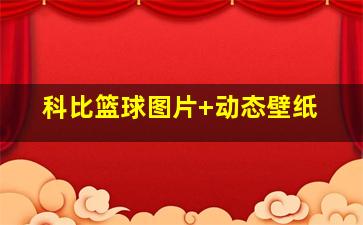科比篮球图片 动态壁纸